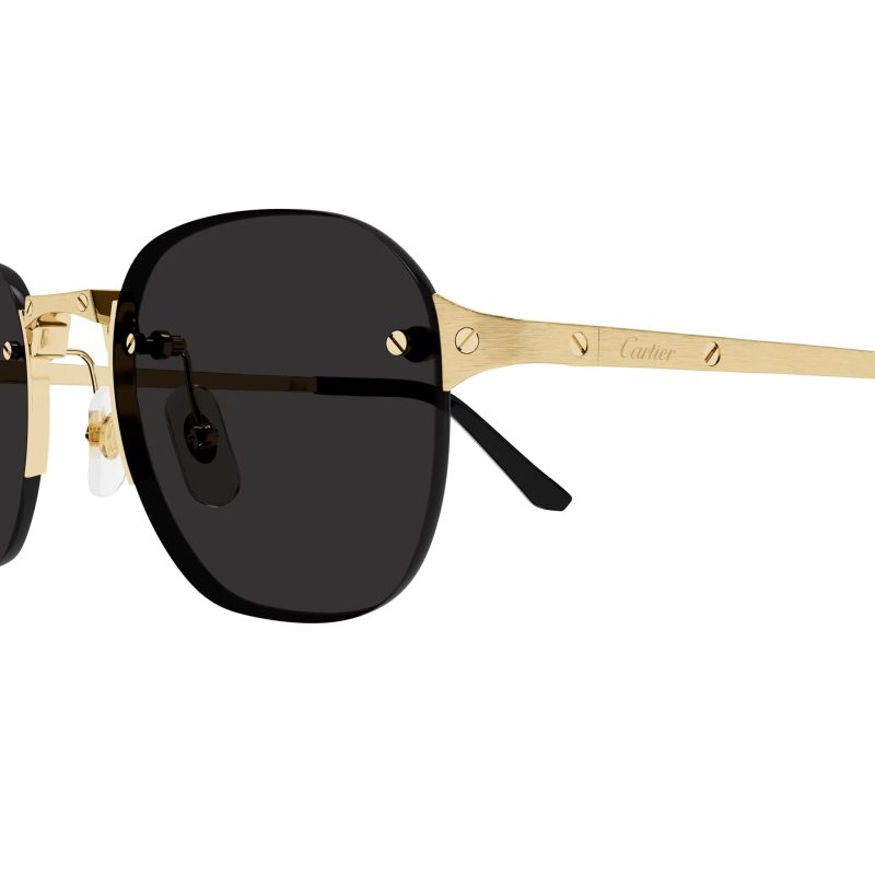 cartier eyewear ct0459s 001 gold grey sunglasses close up